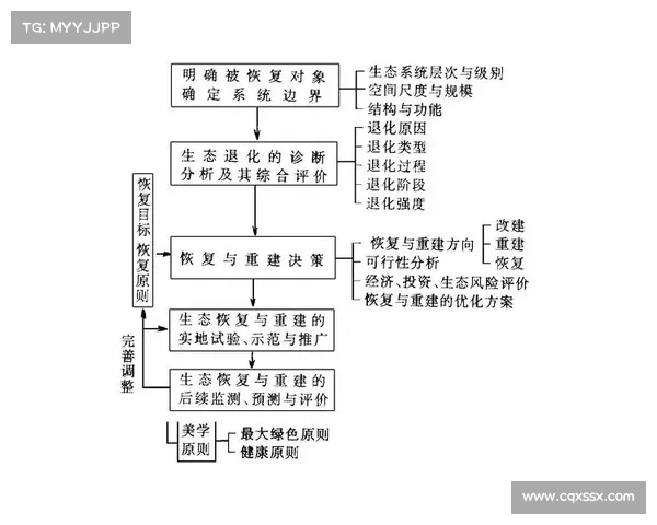 网球比赛中非受迫性失误的成因、影响及减少策略分析 网球比赛中非受迫性失误的成因、影响及减少策略分析
